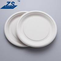 Service de vaisselle biodégradable de 10 pouces en bagasse, contenants alimentaires écologiques