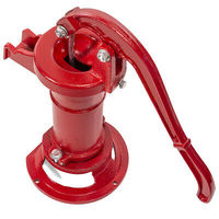 Pompe à eau manuelle à piston en fonte, style antique/vintage, pour puits peu profond, à basse pression, pour jardin agricole