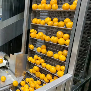 Thiết bị 1-5 tấn/giờ cho dây chuyền sản xuất nước ép cam, chanh, các loại quả họ cam quýt và bưởi quy mô nhỏ - Product Image 1