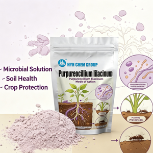 Purpureocillium Lilacinum 100 milliards d'UFC/g Insecticide biologique agricole Nématicide en poudre - Product Image 1