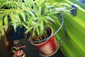 Scaffali <span class=keywords><strong>in</strong></span> <span class=keywords><strong>ferro</strong></span> classico vaso di fiori recinzione per ringhiera appesa fioriere mensola per <span class=keywords><strong>balcone</strong></span> fioriera porta piante <span class=keywords><strong>in</strong></span> metallo - Product Image 3