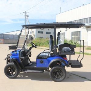 Carrito de Golf Eléctrico de Nueva Energía con la Mejor Relación Calidad-Precio, Configuración Básica, Buggy Económico - Product Image 5