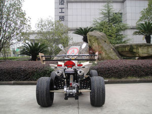 250cc 4 tiempos de deportes para la Paz atv para <span class=keywords><strong>venta</strong></span> - Product Image 4
