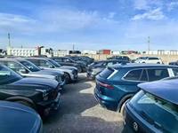Voiture électrique FF 305 km, berline cinq portes quatre places, véhicules à énergie nouvelle Seagull 2023 pour Byd