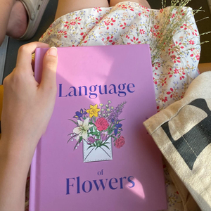 שירותי הדפסה ופרסום ספרים בהתאמה אישית, איכות גבוהה, מחיר זול, ספרות בכריכה רכה וכריכה קשה, יצרן שירותי הדפסה - Product Image 4