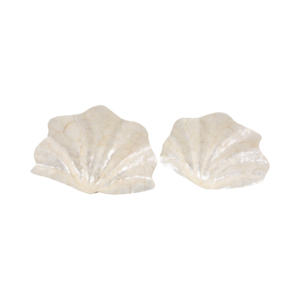 Ciotola decorativa a forma di conchiglia per decorazioni da tavolo e bancone, centrotavola - Product Image 6