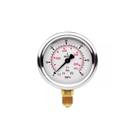 Customizable 304 SS Stainless Steel Liquid Filled Pressure Gauge for Industrial Production Use OEM Support