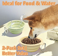Vente en gros de bols pliables en silicone pour animaux de compagnie, portables, pour voyages en plein air, pour chat et chien, avec mousqueton