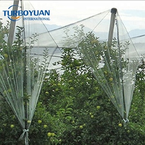 Filet anti-grêle en HDPE vierge Leno Weaving avec protection UV, tricoté pour couvertures d'arbres fruitiers (fruits du <span class=keywords><strong>dragon</strong></span>), service de découpe sur mesure - Product Image 6