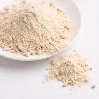 Bloemige zoete knapperige gevriesdroogde vruchten voor gastronomische snacks en een exotische smaakbeleving. Gefreeze-droogde lychee.