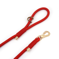 Produit populaire sur TikTok pour animaux de compagnie, laisse en polyester pour gros chiens, laisse de haute qualité avec boucle dorée, laisse de chien tendance, laisses pour animaux de compagnie