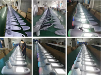 Controlador LED MPPT con Batería de Litio Monocristalina, Resistente al Agua IP66 para Exteriores, con Certificación CE ROHS y Garantía de 3 Años, IK10