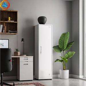 Customizable Assembled Single/Double Door Steel Storage Cabinets Shelves Eco-Friendly Durable <b>for</b> Schools Changing Rooms - Product Image 3