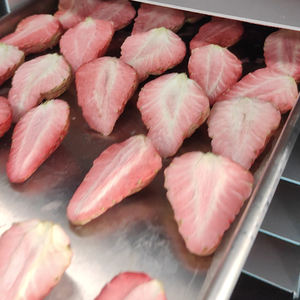 4kg casa liofilizzatore con 4 vassoio per la conservazione di carne di frutta e pasti completi piccolo aspirapolvere congelatore macchina per fare soldi - Product Image 3