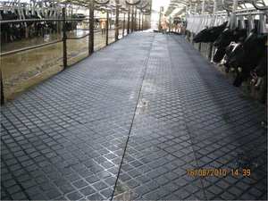 Equipo de Ganadería Lechera, Instalación de Suelo de Goma para Ganado, Alfombra de Goma para el Cuidado de las Pezuñas del Ganado - Product Image 5