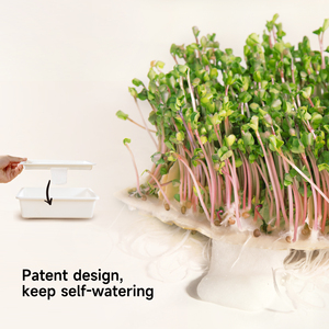 J & C microgreens phát triển hệ thống khay tự tưới nước hạt giống sputer khay với lỗ thoát nước BPA miễn phí khay ươm - Product Image 3
