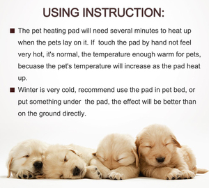 12V Niederspannungs-Wasserdichte Elektrische Heizdecke Haustier-Heizmatte Katzen- und Hundewärmematte - Product Image 5