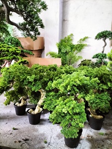 <strong>Artificial</strong> Pine <strong>Tree</strong> - Product Image 4