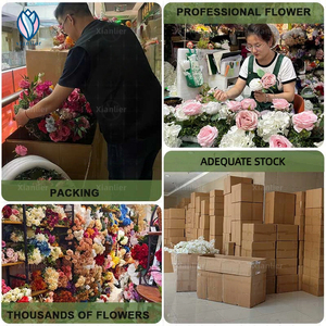 XLE Wedding Stage appeso <span class=keywords><strong>fiori</strong></span> artificiali rosa fiore bianco parete sfondo Roll up decorazioni eventi per la fotografia - Product Image 6