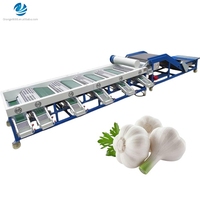 Industriële groente- en fruitsorteermachine, knoflook sorteermachine voor fruitverwerkingsbedrijven