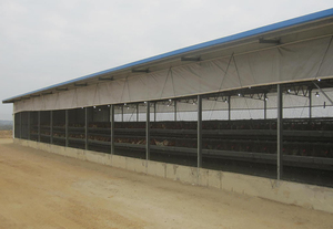 Prefab gia cầm trang trại Nguồn cung cấp kết cấu thép gia cầm Gà nhà lớp hen nhà đúc sẵn Gà nhà kho - Product Image 6