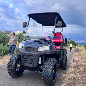 Nouveau modèle de voiturette de golf miniature 4 places, moteur haute puissance 4 kW, voiturette de golf électrique à 4 roues pour adultes en vente - Product Image 3