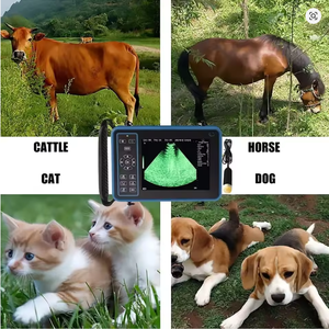 Scanner à ultrasons vétérinaire portable Vet B-Ultra Machine de grossesse portable (B, BB, 4B, B + M, M) pour porc mouton bétail cheval chien - Product Image 5