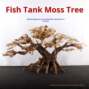 ต้นมอสตกแต่งตู้ปลา ไม้ลอยน้ำ ธรรมชาติ สไตล์คลาสสิก หินกรีนดราก้อน หญ้าโครงกระดูก พืชน้ำ ปะการัง - Product Image 3