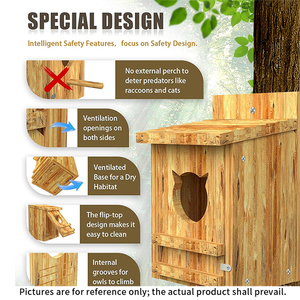 Nichoir personnalisé en bois pour hiboux de grange, grande taille, pour extérieur, pour oiseaux sauvages et hiboux de grange orientaux - Product Image 2