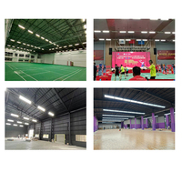 Luz Lineal LED para Iluminación de Canchas de Bádminton Interiores con Sistema de Control de Iluminación Inteligente a través de Aplicación Móvil y Software para PC, Clasificación IP65