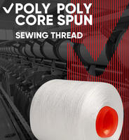 Factory Supply AA Grade 150D/48F SIM Semi Dull Raw White Polyester DTY Yarn for Knitting Socks Garment Draw Textured Yarn