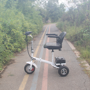 Scooter Eléctrico <span class=keywords><strong>de</strong></span> Tres Ruedas Plegable Fácil <span class=keywords><strong>de</strong></span> Usar con Certificación CE Rohs, Batería Extraíble <span class=keywords><strong>de</strong></span> 500w, 3 Velocidades, YXEB-718 - Product Image 6