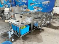 Hoge Efficiëntie Groentewasmachine PLC-gestuurde Salade Sla Kool Aardappelwasmachine