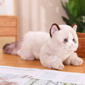 ตุ๊กตาสัตว์น่ารักเหมือนจริงสำหรับลูกสุนัขปอมเมอเรเนียนของเล่นสุนัขของขวัญวันครบรอบปรับแต่งได้สำหรับเด็กผู้หญิงและเด็กผู้ชาย16นิ้ว - Product Image 6