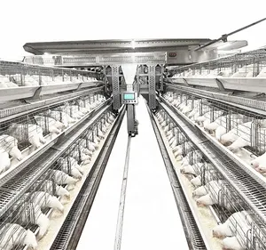 Peser avec précision le poulailler d'éleveur d'aliments quantitatifs de précision Coop d'éleveur d'aliments pour rations Cage d'élevage de poulets pour ferme avicole