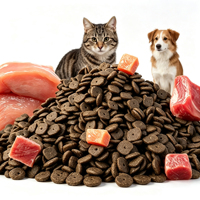 Fournisseur en gros d'aliments pour animaux de compagnie : Croquettes sèches riches en protéines, alimentation complète quotidienne pour chats et chiens, riches en vitamines et en fibres