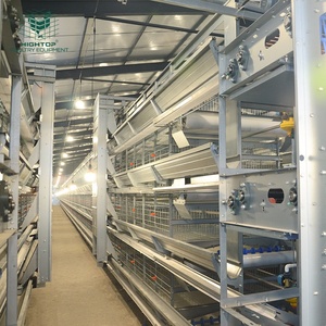 Equipo Avícola para Gallinas Ponedoras, Sistema de Jaulas Automáticas Tipo H de Acero Galvanizado en Caliente para Granjas Avícolas en Angola - Product Image 3