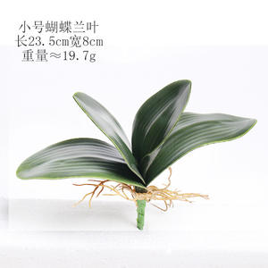 All'ingrosso vero tocco grande e piccola dimensione orchidea foglie artificiali tocco reale foglia di orchidea per il matrimonio e la decorazione della casa - Product Image 3
