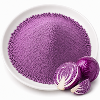 Poudre de chou violet naturel 100% pure lyophilisée, poudre de chou rouge de qualité alimentaire en vrac, riche en anthocyanes, vente en gros, OEM