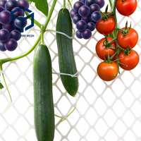 Filet de treillis de jardin en maille diamantée en PE robuste avec logo personnalisé pour plantes grimpantes, serres, cours, balcons et jardins