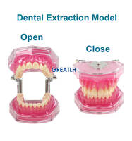 Dispositivo dental Dientes extraíbles dientes tipodont modelo de estudio de ortodoncia dental modelo de dientes dentales