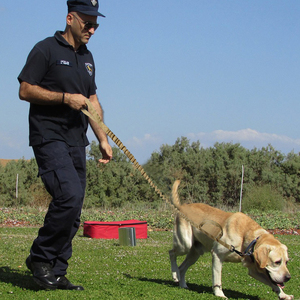 Tactical <strong>Retractable</strong> Custom Adjustable Nylon Elastic Big <strong>Dog</strong> <strong>Leash</strong> for Task - Product Image 4