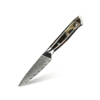 Nieuw ontwerp 3,5 inch professioneel VG10 Damascus staal keukenmes voor groenten & fruit, schilmes met koperen hars handvat