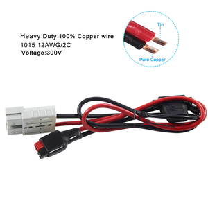 Style Câble de batterie de moto 48V 150W Adaptateur d'alimentation CC avec rallonge de connecteur Anders - Product Image 3