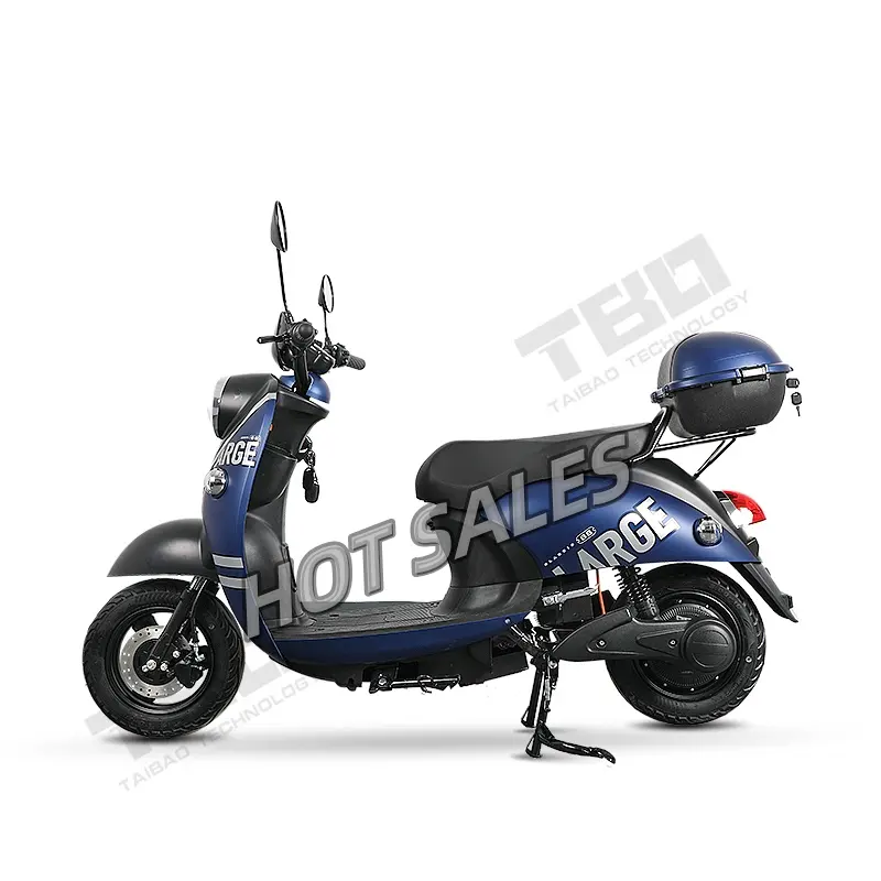 Il logo Brushless può essere personalizzato a buon mercato all'aperto anziano moto 2 ruote elettrico mobilità scooter