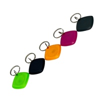 AB006 Porte-clés NFC intelligent en ABS, puce de porte, mini-étiquette 13,56 MHz pour clés d'hôtels et de motels