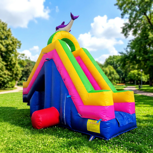 Tobogán Inflable WINSUN Dolphin con Almohadilla Amortiguadora de PVC para Uso Público y Educativo - Product Image 1