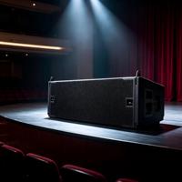 Système de sonorisation PA professionnel JL50A, enceinte Line Array double 12 pouces, 1000W RMS, 135dB, enceinte en bois, pour scène et concert