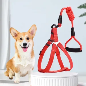 Thiết Kế Đơn Giản Màu Sắc Hỗn Hợp Pet Chó Mèo Nylon Có Thể Điều Chỉnh Đào Tạo Khai Thác Dây Xích Thiết Lập