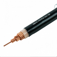 Câble d'alimentation monophasé ZC-YJV 0.6/1kV 1x185mm² en cuivre XLPE haute capacité pour l'entrée principale des installations utilitaires